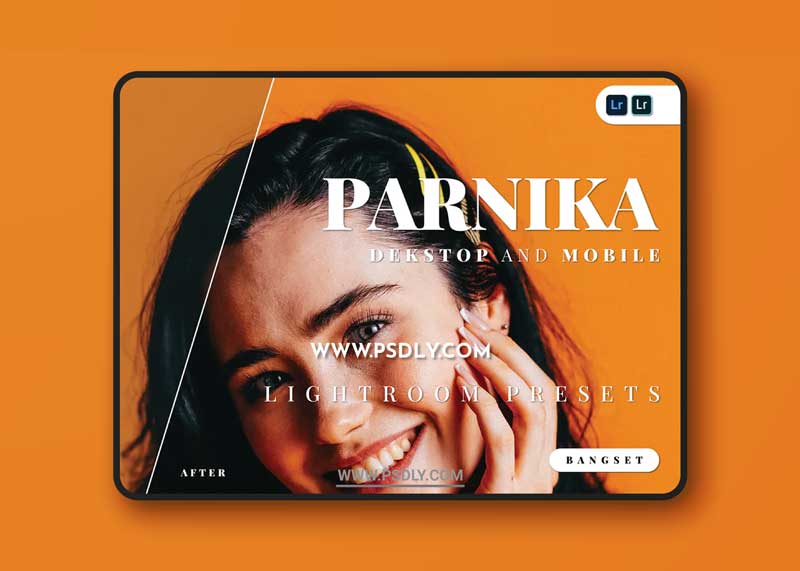 Parnika Desktop and Mobile Lightroom Preset 1 Parnika Desktop and Mobile Lightroom Preset