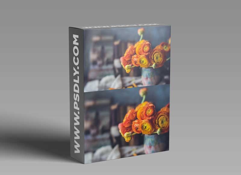 Pushing The Boundaries With Unconventional Lenses In Your Photography 1 Pushing The Boundaries With Unconventional Lenses In Your Photography