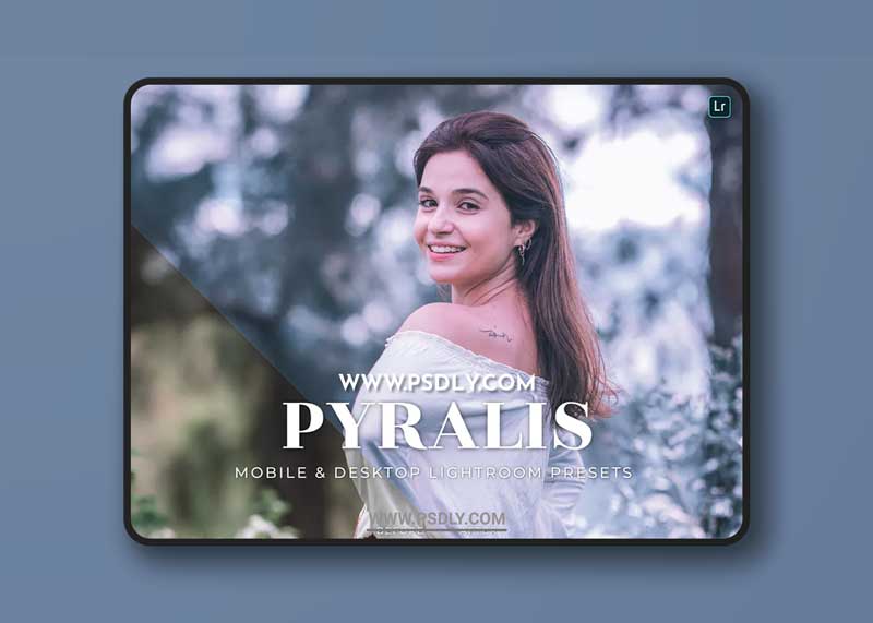 Pyralis Mobile and Desktop Lightroom Presets 1 Pyralis Mobile and Desktop Lightroom Presets