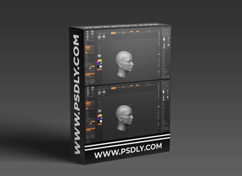 Sculpt And Modelling Your Very Own Custom Hair Brush And Hairstyle To Your 3D Character In Zbrush By Máté Vörös 1 Sculpt And Modelling Your Very Own Custom Hair Brush And Hairstyle To Your 3D Character In Zbrush By Máté Vörös