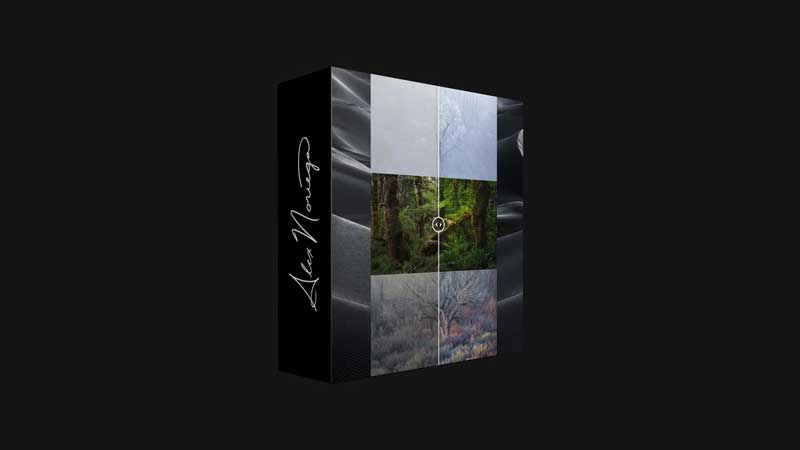 Three Trees – Alex Noriega 1 Three Trees – Alex Noriega