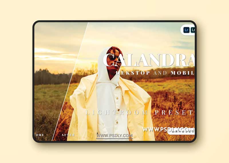 Calandra Desktop and Mobile Lightroom Preset 1 Calandra Desktop and Mobile Lightroom Preset