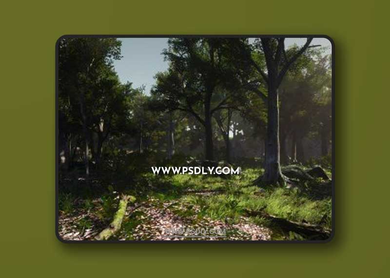 3D-Scanned, Photo-Realistic Forest Landscape Asset Pack Vol. 1 1 3D-Scanned, Photo-Realistic Forest Landscape Asset Pack Vol. 1