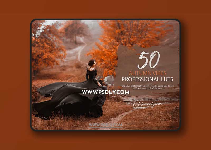 50 Autumn Vibes LUTs and Presets Pack 1 50 Autumn Vibes LUTs and Presets Pack