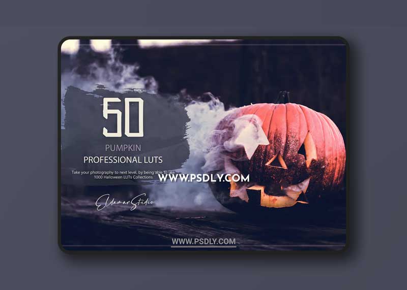 50 Pumpkin LUTs and Presets Pack 1 50 Pumpkin LUTs and Presets Pack