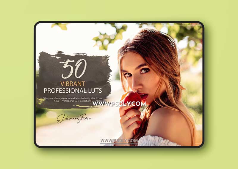 50 Vibrant LUTs and Presets Pack 1 50 Vibrant LUTs and Presets Pack