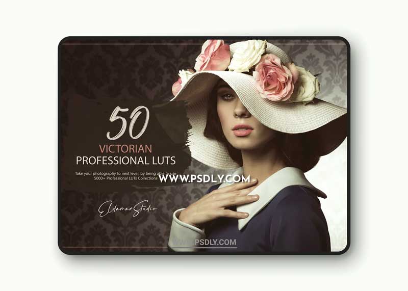 50 Victorian LUTs and Presets Pack 1 50 Victorian LUTs and Presets Pack