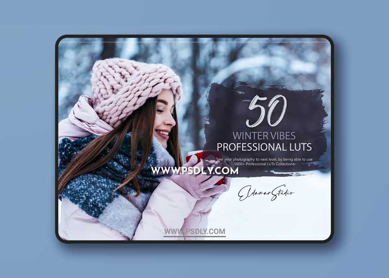 50 Winter Vibes LUTs and Presets Pack 1 50 Winter Vibes LUTs and Presets Pack