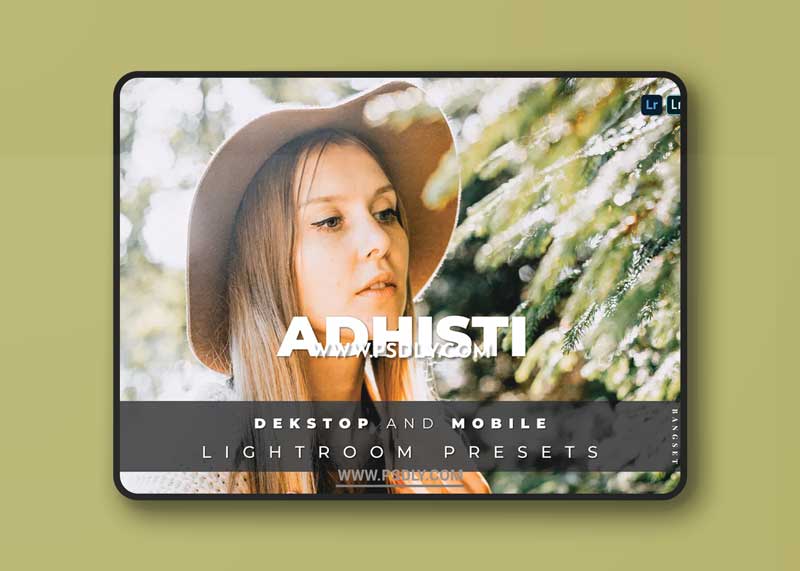 Adhisti Desktop and Mobile Lightroom Preset 1 Adhisti Desktop and Mobile Lightroom Preset