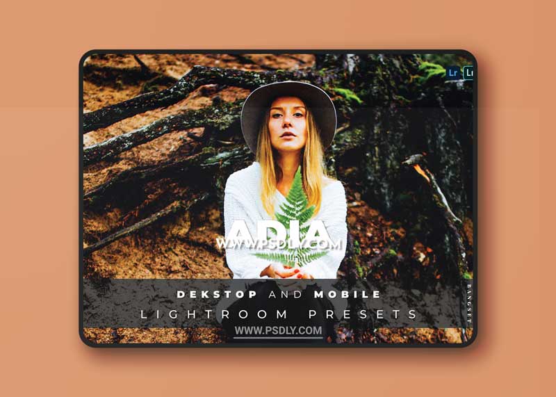 Adia Desktop and Mobile Lightroom Preset 1 Adia Desktop and Mobile Lightroom Preset