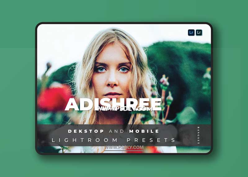 Adishree Desktop and Mobile Lightroom Preset 1 Adishree Desktop and Mobile Lightroom Preset