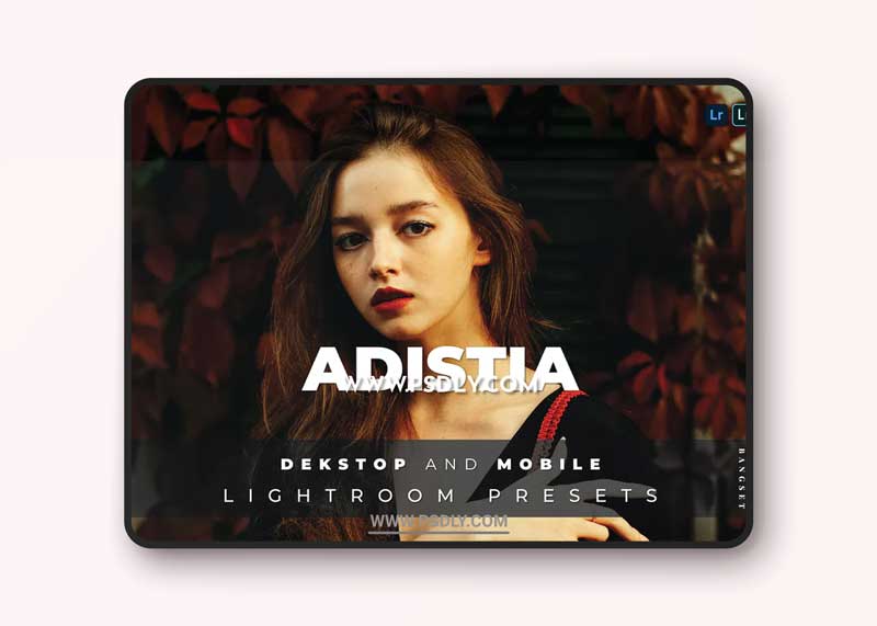 Adistia Desktop and Mobile Lightroom Preset 1 vAdistia Desktop and Mobile Lightroom Preset