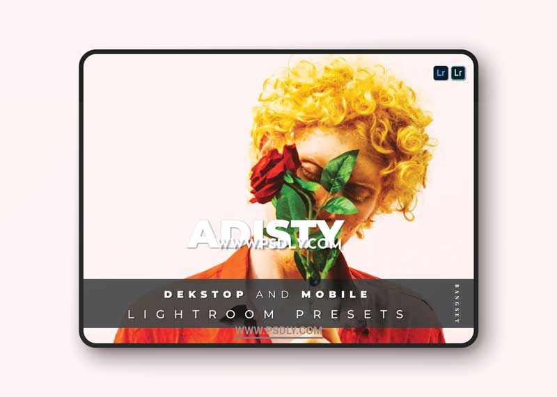Adisty Desktop and Mobile Lightroom Preset 1 Adisty Desktop and Mobile Lightroom Preset
