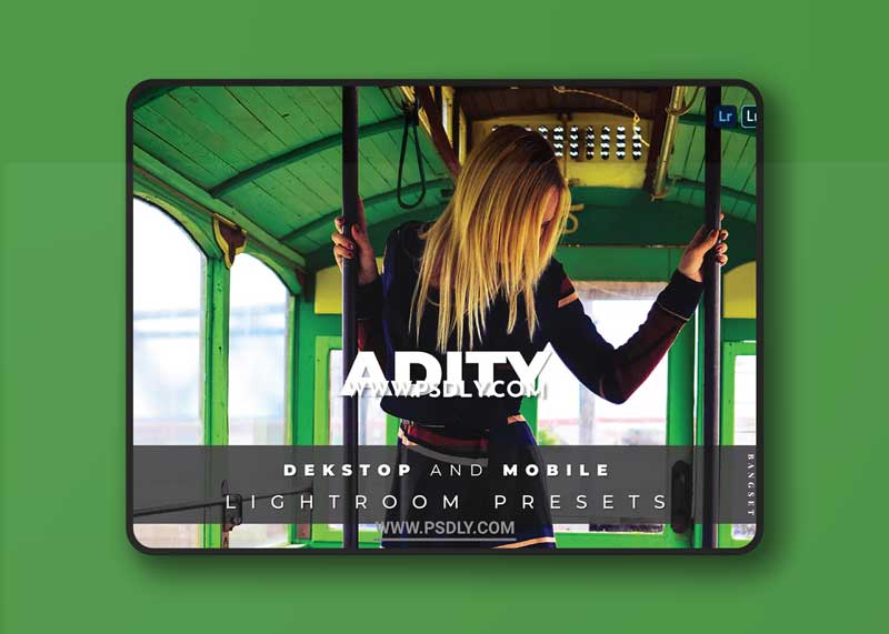 Adity Desktop and Mobile Lightroom Preset 1 Adity Desktop and Mobile Lightroom Preset