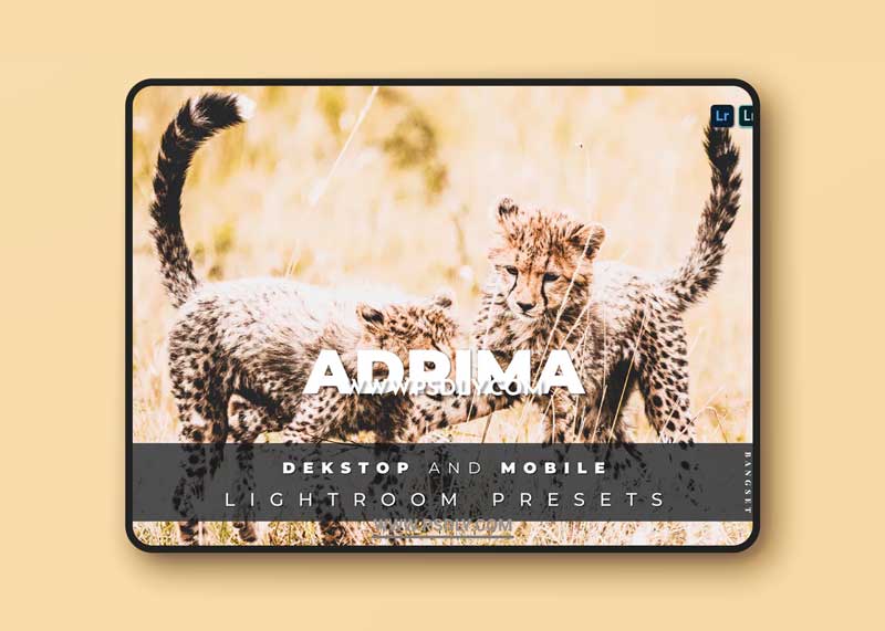 Adrima Desktop and Mobile Lightroom Preset 1 Adrima Desktop and Mobile Lightroom Preset
