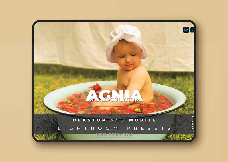 Agnia Desktop and Mobile Lightroom Preset 1 Agnia Desktop and Mobile Lightroom Preset