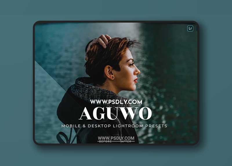 Aguwo Mobile and Desktop Lightroom Presets 1 Aguwo Mobile and Desktop Lightroom Presets