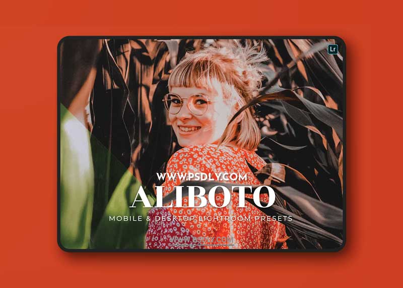 Aliboto Mobile and Desktop Lightroom Presets 1 Aliboto Mobile and Desktop Lightroom Presets