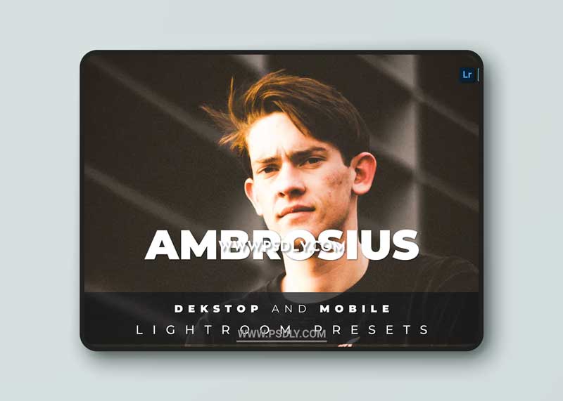 Ambrosius Desktop and Mobile Lightroom Preset 1 Ambrosius Desktop and Mobile Lightroom Preset