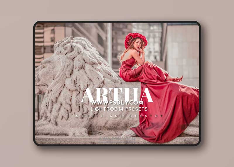 Artha Lightroom Presets Dekstop and Mobile 1 Artha Lightroom Presets Dekstop and Mobile