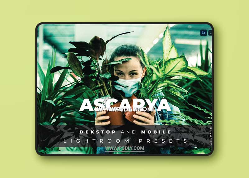 Ascarya Desktop and Mobile Lightroom Preset 1 Ascarya Desktop and Mobile Lightroom Preset