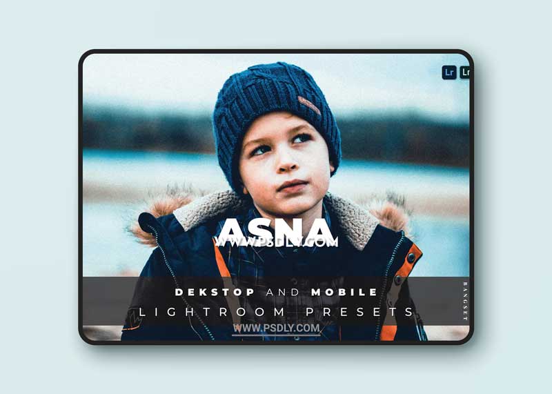Asna Desktop and Mobile Lightroom Preset 1 Asna Desktop and Mobile Lightroom Preset
