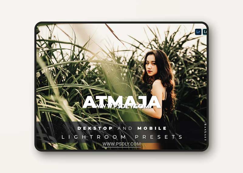 Atmaja Desktop and Mobile Lightroom Preset 1 Atmaja Desktop and Mobile Lightroom Preset