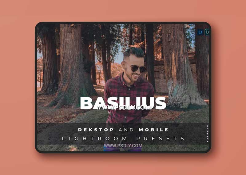 Basilius Desktop and Mobile Lightroom Preset 1 Basilius Desktop and Mobile Lightroom Preset
