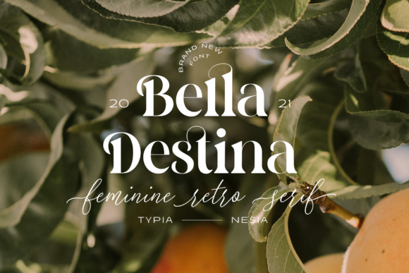 Bella Destina Font 1 Bella Destina Font