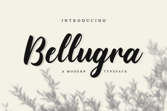 Bellugra Font Free Download 1 Bellugra Font Free Download