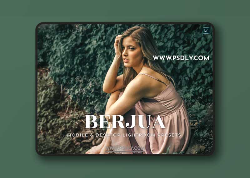 Berjua Mobile and Desktop Lightroom Presets 1 Berjua Mobile and Desktop Lightroom Presets
