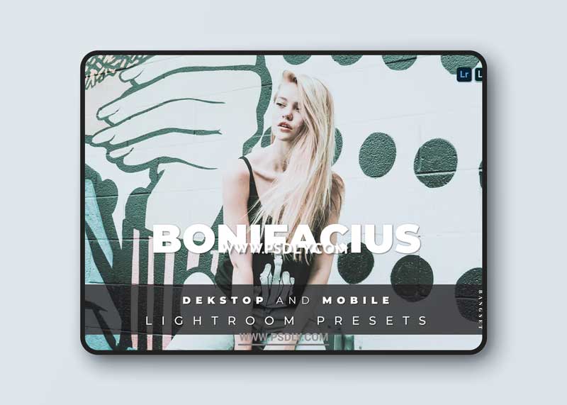 Bonifacius Desktop and Mobile Lightroom Preset 1 Bonifacius Desktop and Mobile Lightroom Preset