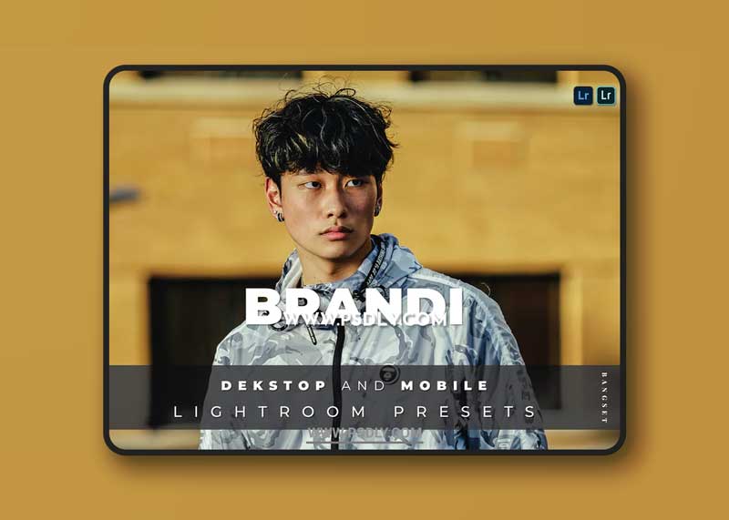 Brandi Desktop and Mobile Lightroom Preset 1 Brandi Desktop and Mobile Lightroom Preset