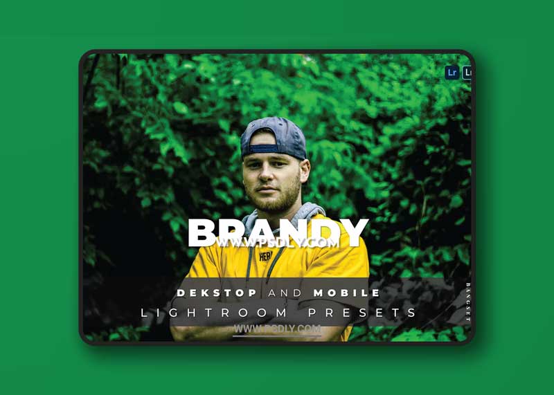 Brandy Desktop and Mobile Lightroom Preset 1 Brandy Desktop and Mobile Lightroom Preset
