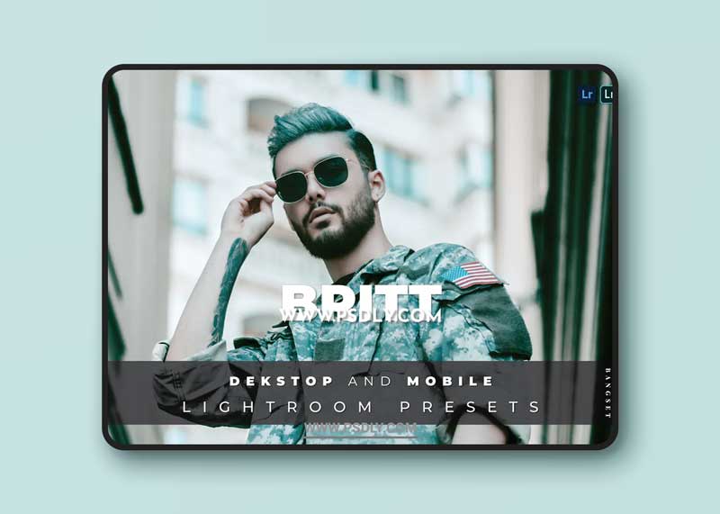 Britt Desktop and Mobile Lightroom Preset 1 Britt Desktop and Mobile Lightroom Preset