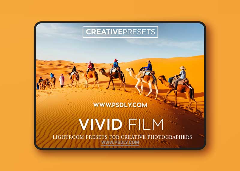 CM - Vivid Film Lightroom Presets 2042925 1 CM - Vivid Film Lightroom Presets 2042925