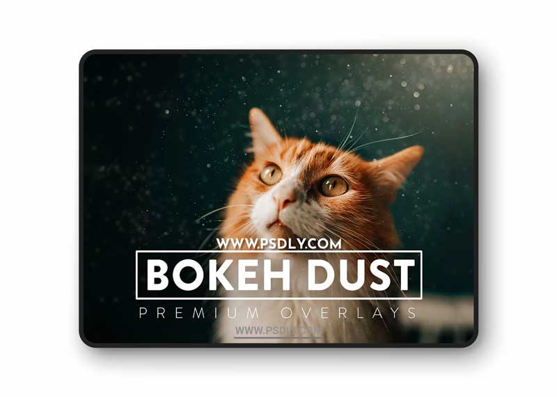 CreativeMarket - 30 Bokeh Dust Overlays 5930979