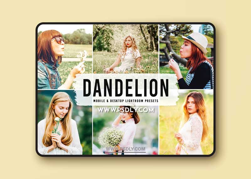 CreativeMarket - Dandelion Pro Lightroom Presets 6282798 1 CreativeMarket - Dandelion Pro Lightroom Presets 6282798
