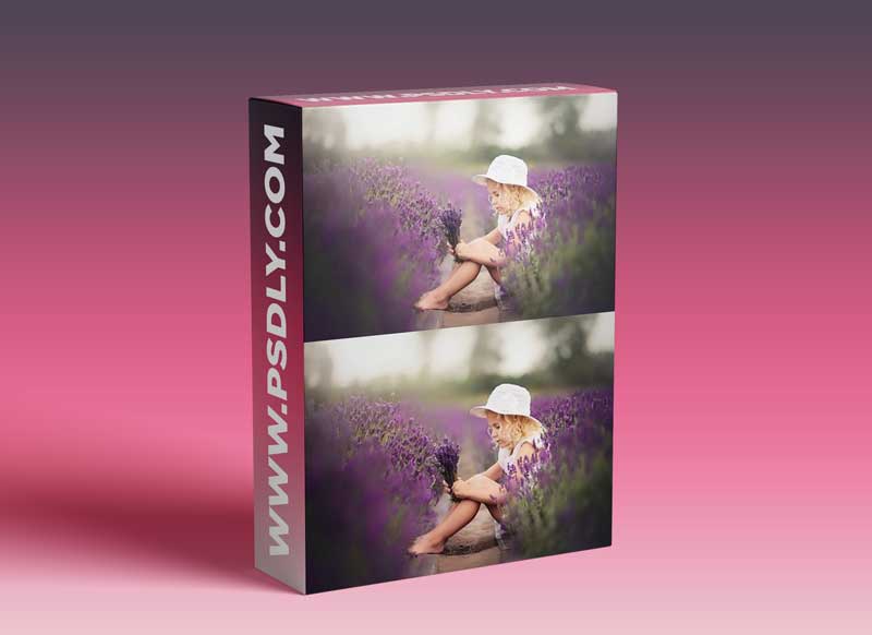 Daniel Venter Post Processing Video - Lavender 1 Daniel Venter Post Processing Video - Lavender