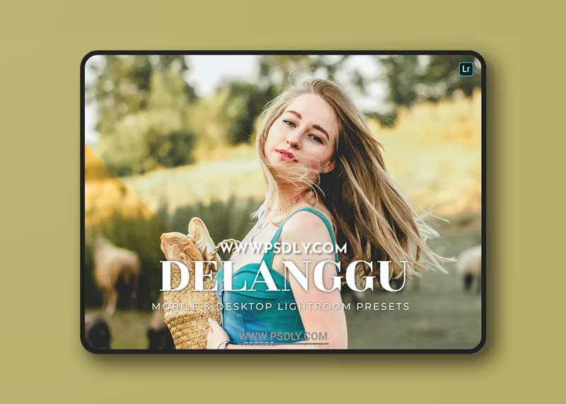 Delanggu Mobile and Desktop Lightroom Presets 1 Delanggu Mobile and Desktop Lightroom Presets
