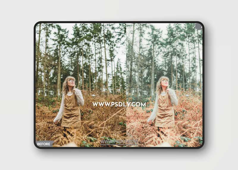 Denard Lightroom Presets Dekstop and Mobile 1 Denard Lightroom Presets Dekstop and Mobile