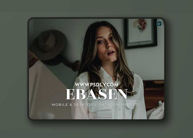 Ebasen Mobile and Desktop Lightroom Presets 1 Ebasen Mobile and Desktop Lightroom Presets