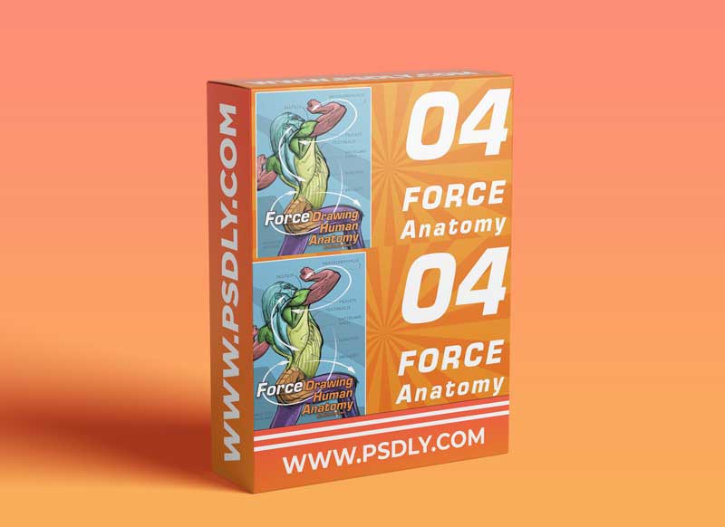 FORCE Drawing Courses - 04 FORCE Human Anatomy by Michael Mattesi 1 FORCE Drawing Courses - 04 FORCE Human Anatomy by Michael Mattesi