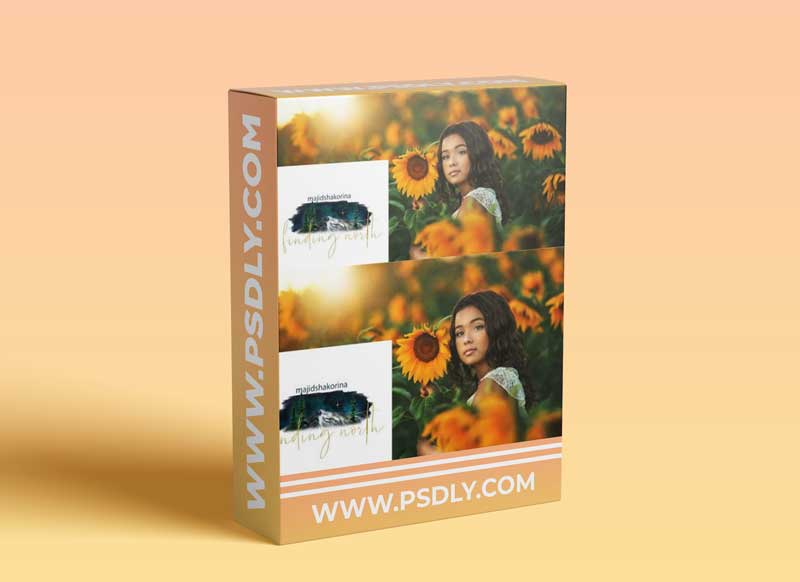 Finding North Photography - Sunflower Edit 1 Finding North Photography - Sunflower Edit