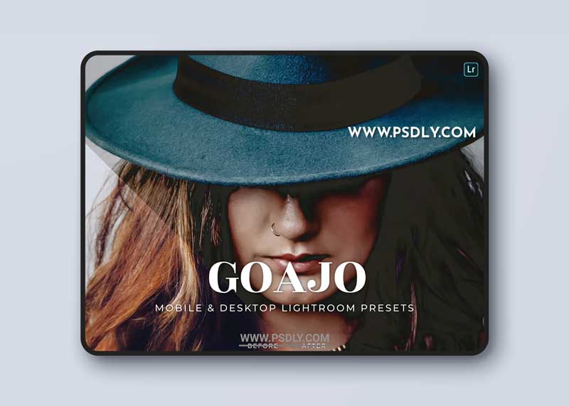 Goajo Mobile and Desktop Lightroom Presets 1 Goajo Mobile and Desktop Lightroom Presets