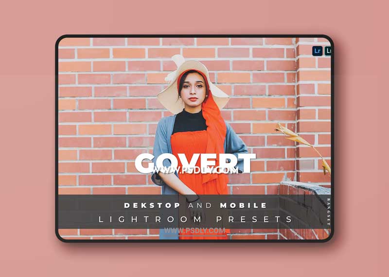 Govert Desktop and Mobile Lightroom Preset 1 Govert Desktop and Mobile Lightroom Preset