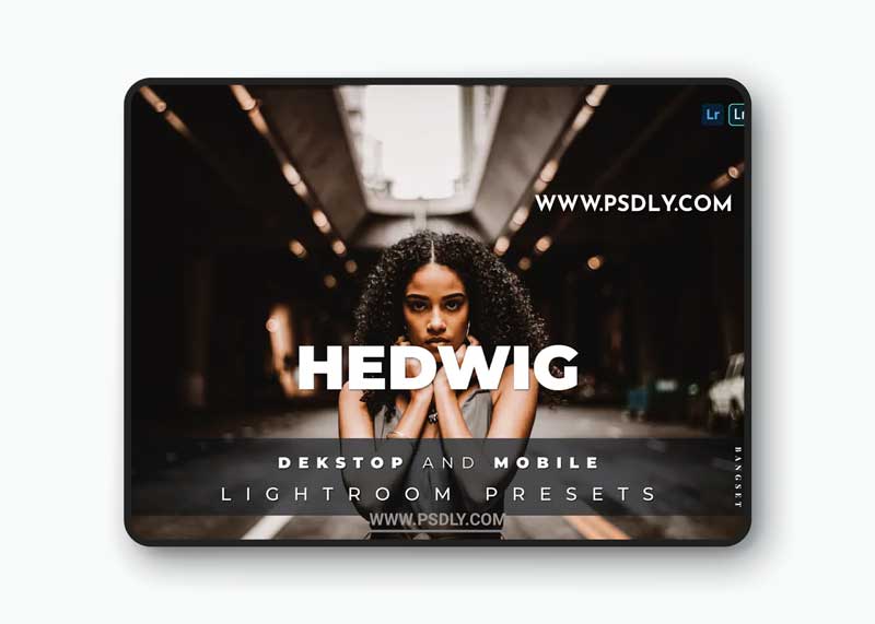 Hedwig Desktop and Mobile Lightroom Preset 1 Hedwig Desktop and Mobile Lightroom Preset