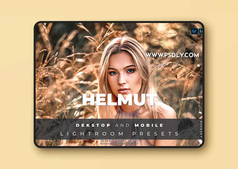Helmut Desktop and Mobile Lightroom Preset 1 Helmut Desktop and Mobile Lightroom Preset