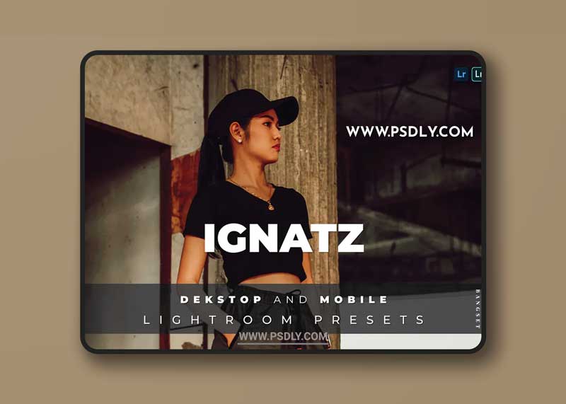 Ignatz Desktop and Mobile Lightroom Preset 1 Ignatz Desktop and Mobile Lightroom Preset