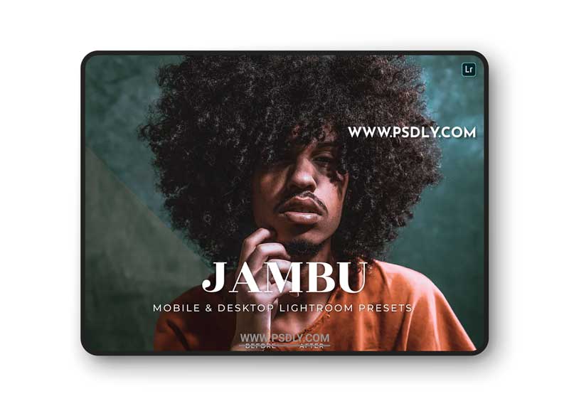 Jambu Mobile and Desktop Lightroom Presets 1 Jambu Mobile and Desktop Lightroom Presets
